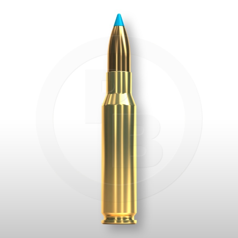 308 WIN., TXRG 110gr
