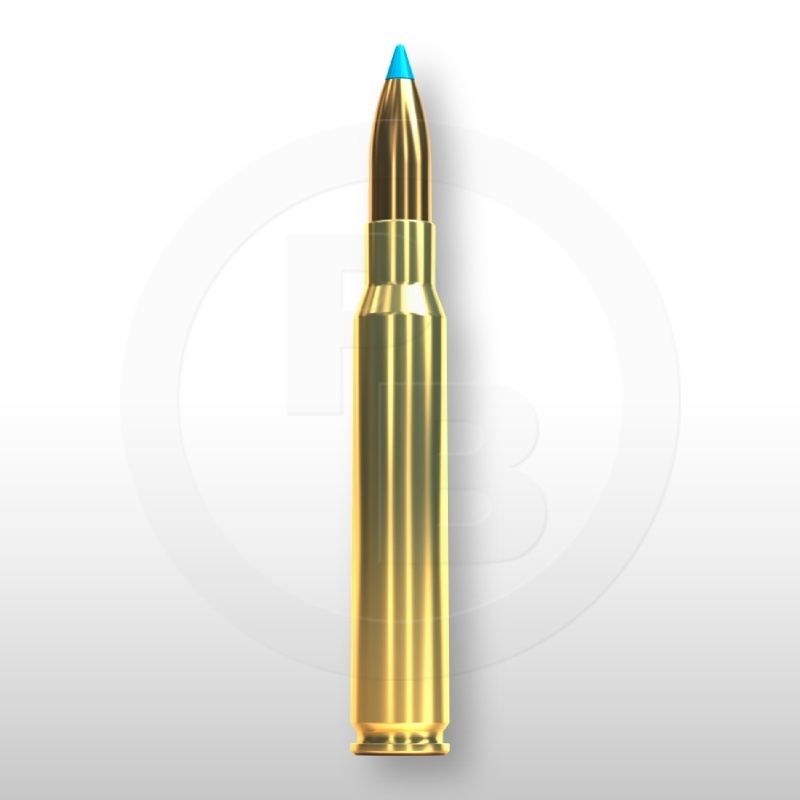 30-06 SPRING., TXRG 180gr