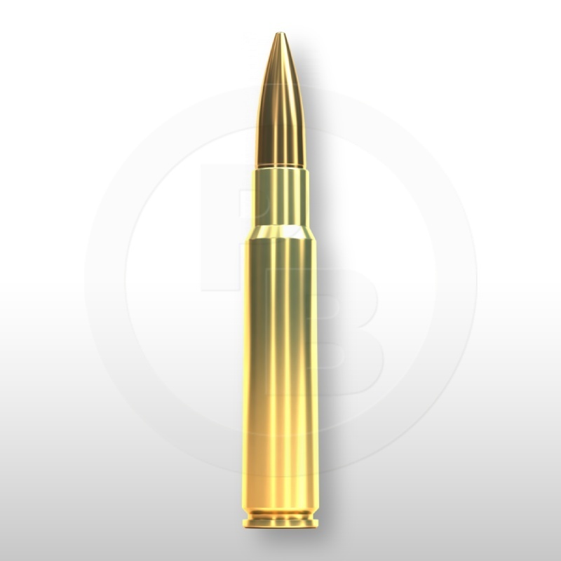 7,5 x 55 SWISS, FMJ 174gr