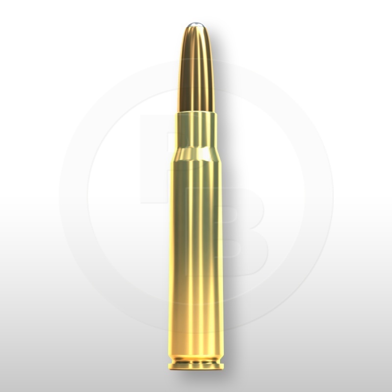 8 × 57 JS, XRG 196gr